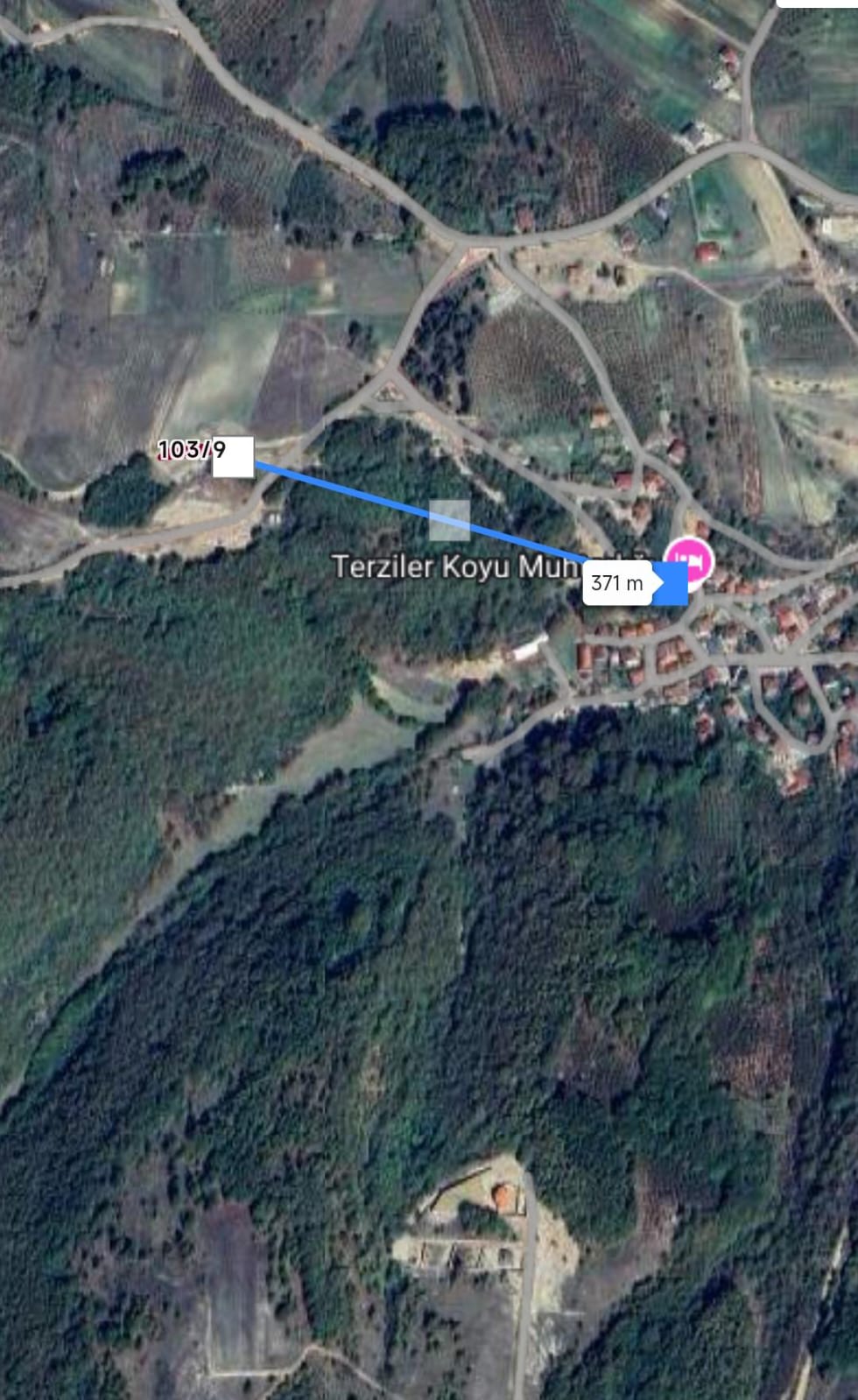 Fotoğraf